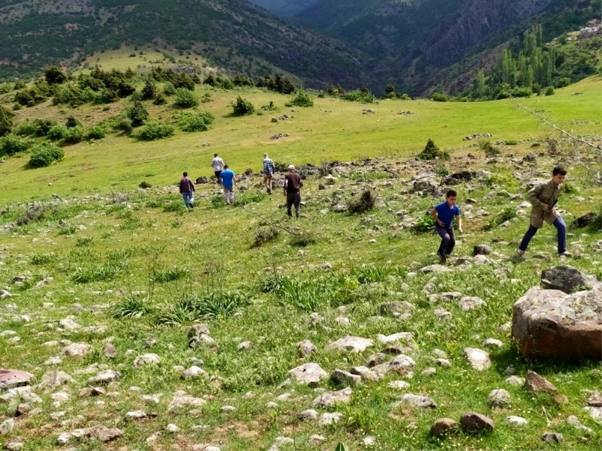 Kaybolan koyunlarını 12 gündür arıyor