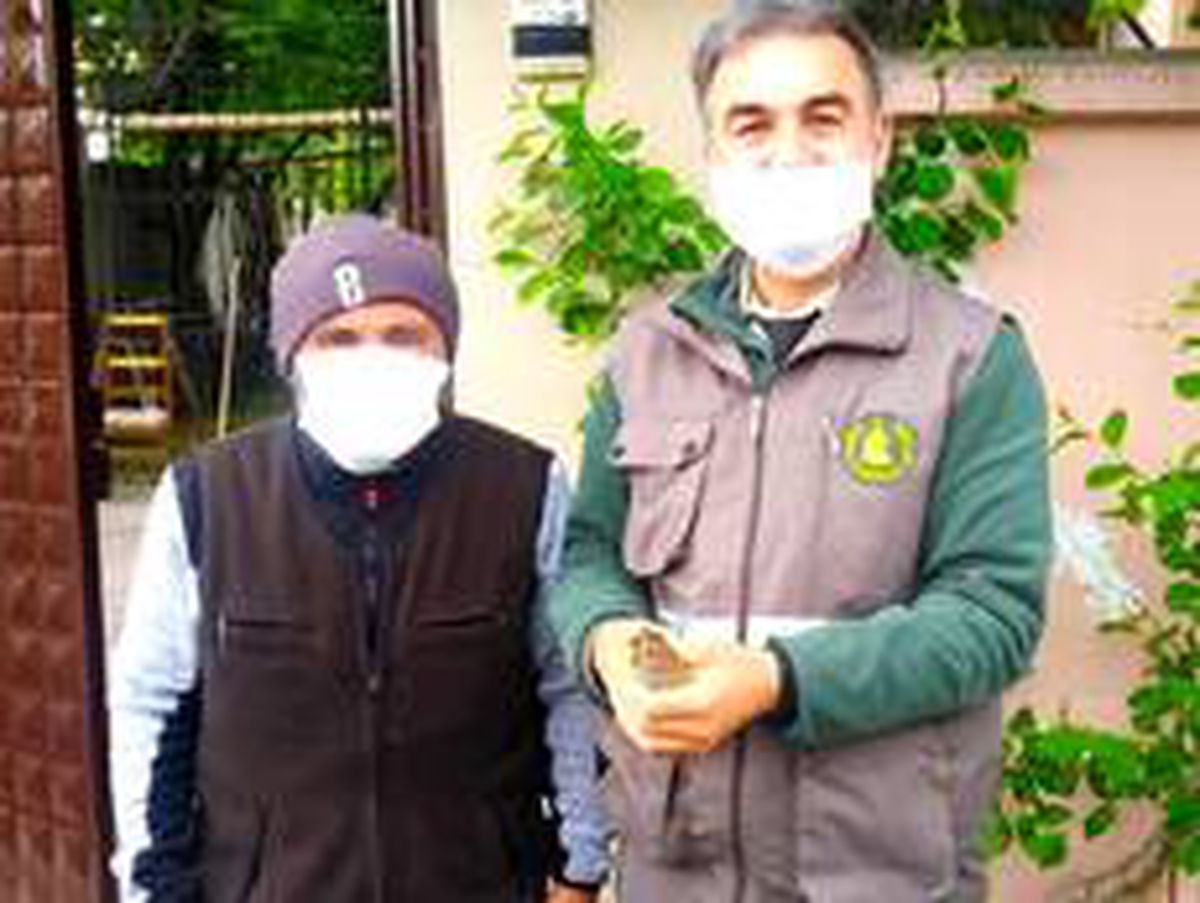 Konya\'da yaralı olarak bulunan baykuş ve bıldırcın kılavuzu koruma altına alındı