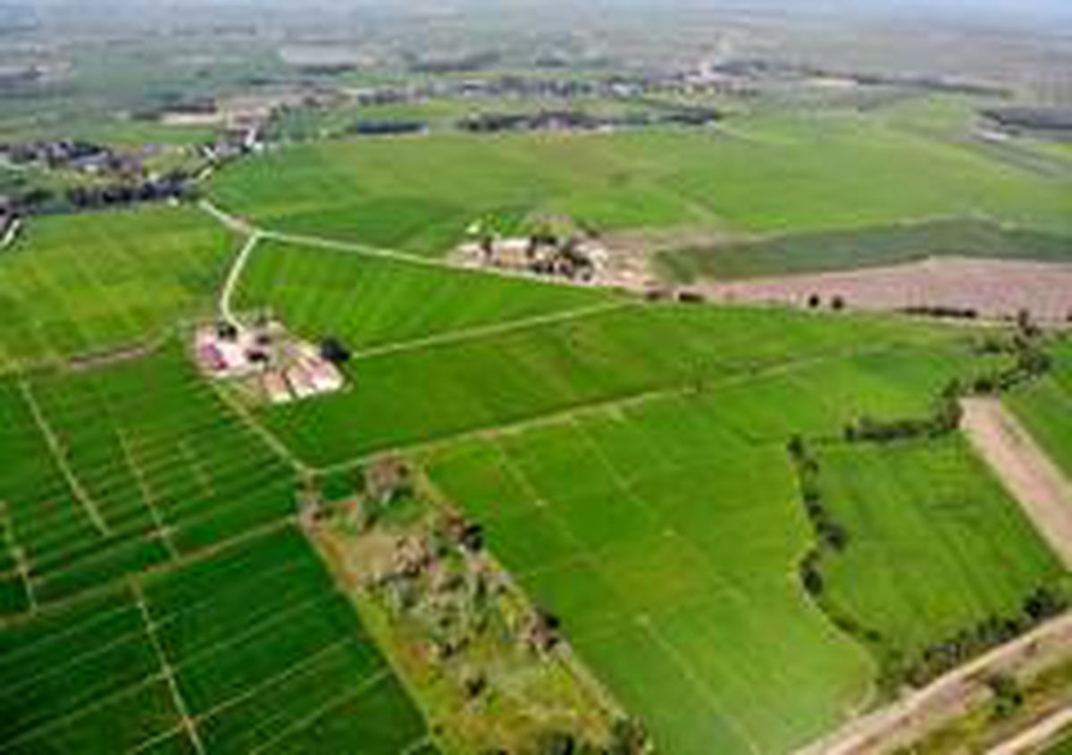 Samsun\'da 2020\'de 430 bin 170 dekar tarım arazisi daha suya kavuşacak