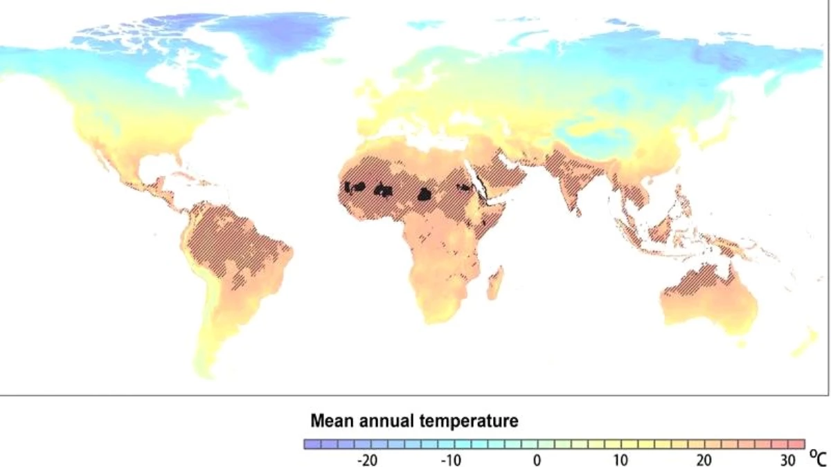 Araştırma | Önlem alınmazsa 2070 yılında dünya nüfusunun üçte biri Sahra sıcağıyla karşılaşacak