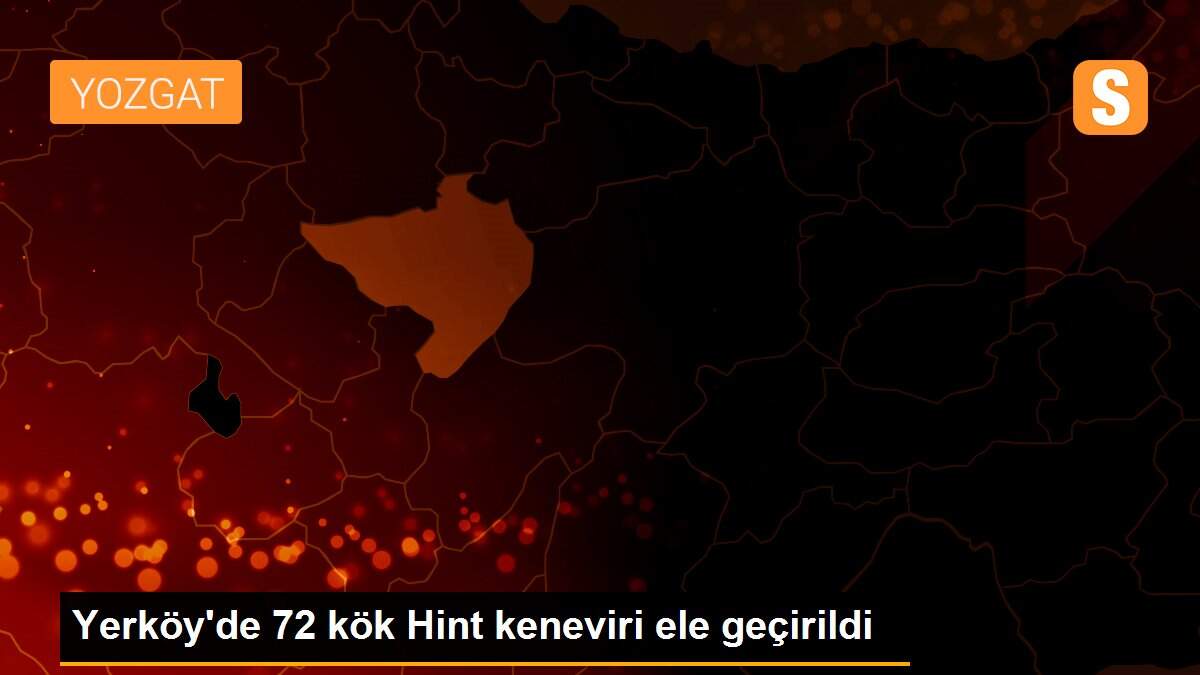 Yerköy\'de 72 kök Hint keneviri ele geçirildi