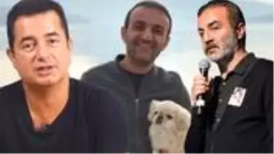 ersin in