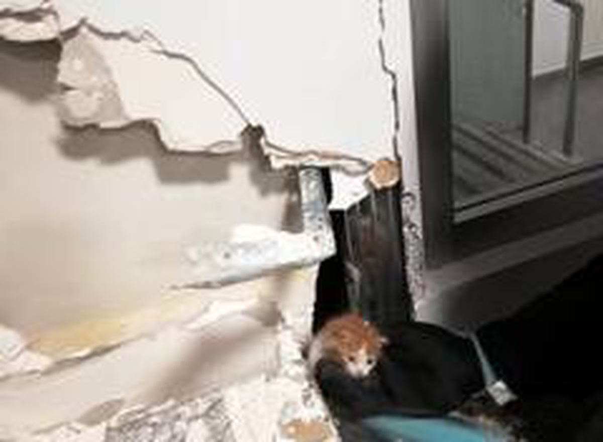 Banka duvarının içine sıkışan yavru kedi kurtarıldı