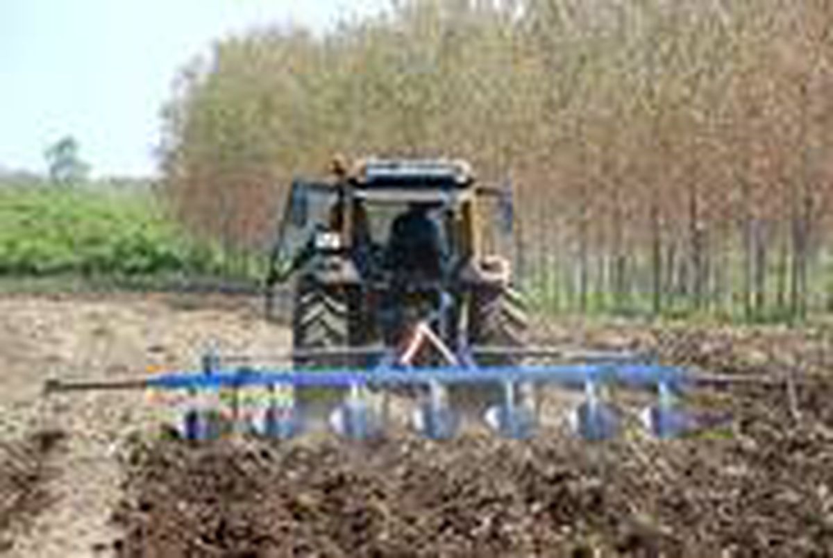 Çukurova'da tanıştı, Samsun'a getirdi