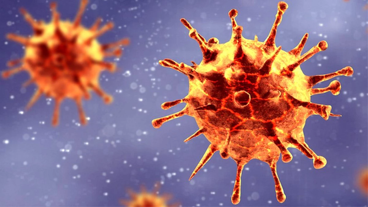 Koroanvirüs mutasyonu: Bilim insanları etkilerini inceliyor