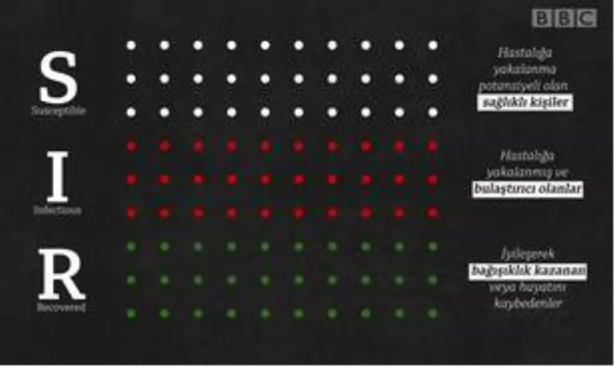 Koronavirüs: Salgın grafikleri ne anlama geliyor, salgın eğrisini nasıl doğru yorumlayabiliriz?