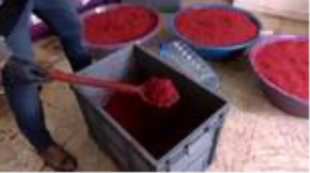 Küçükçekmece\'de kaçak nargile imalathanesine baskın: 1 ton 350 kilo kaçak nargile tütünü ele...