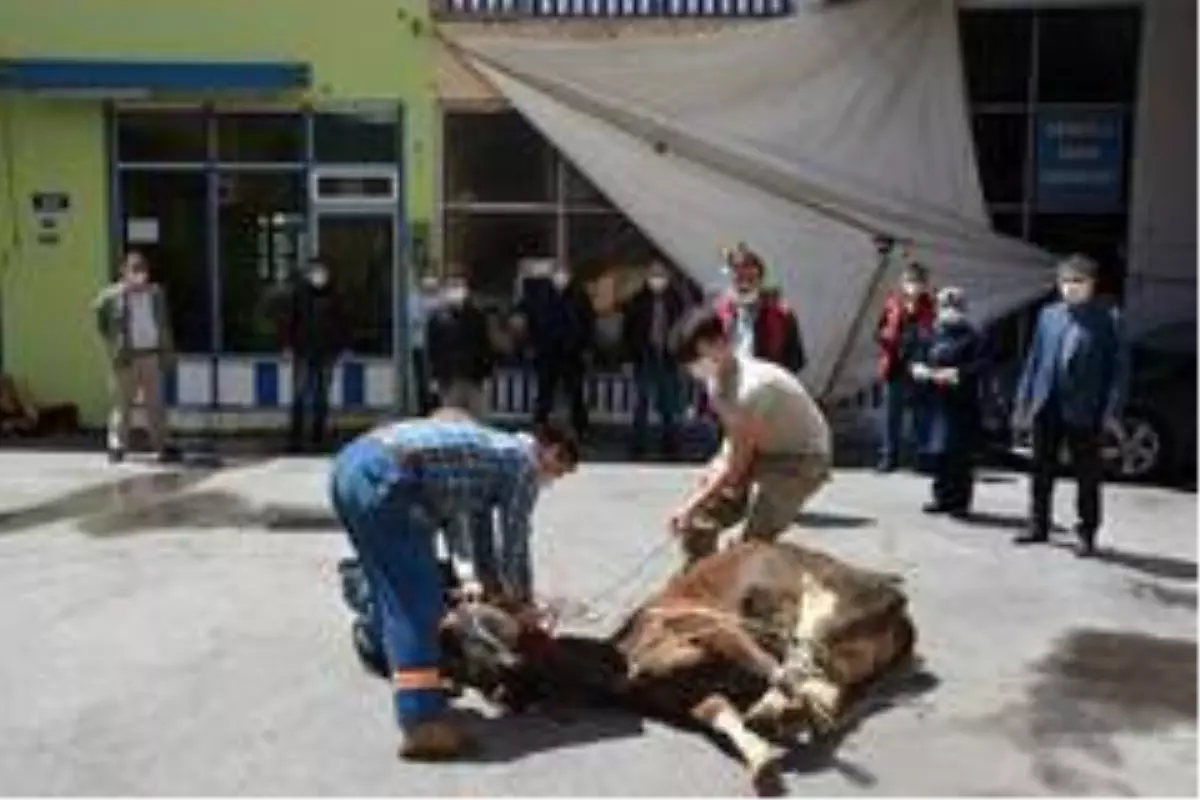 Örenli ailesi kurbanı belediyeye bağışladı