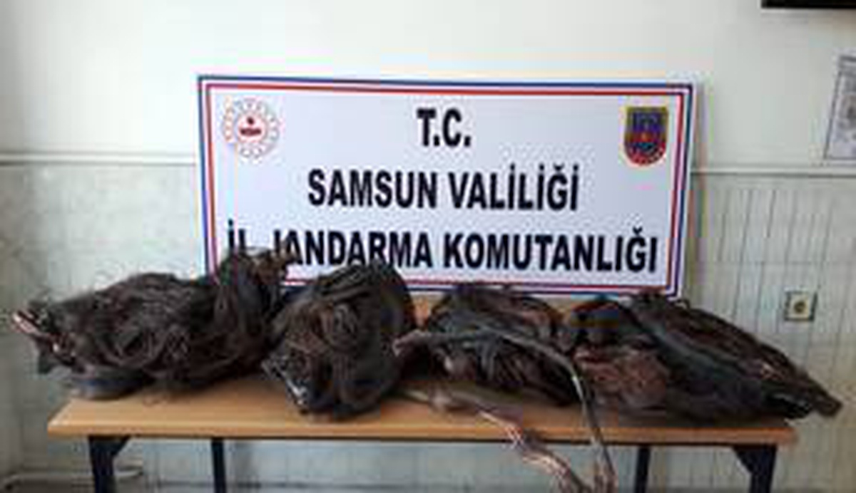 Samsun\'da 3 hırsızlık şüphelisi yakalandı