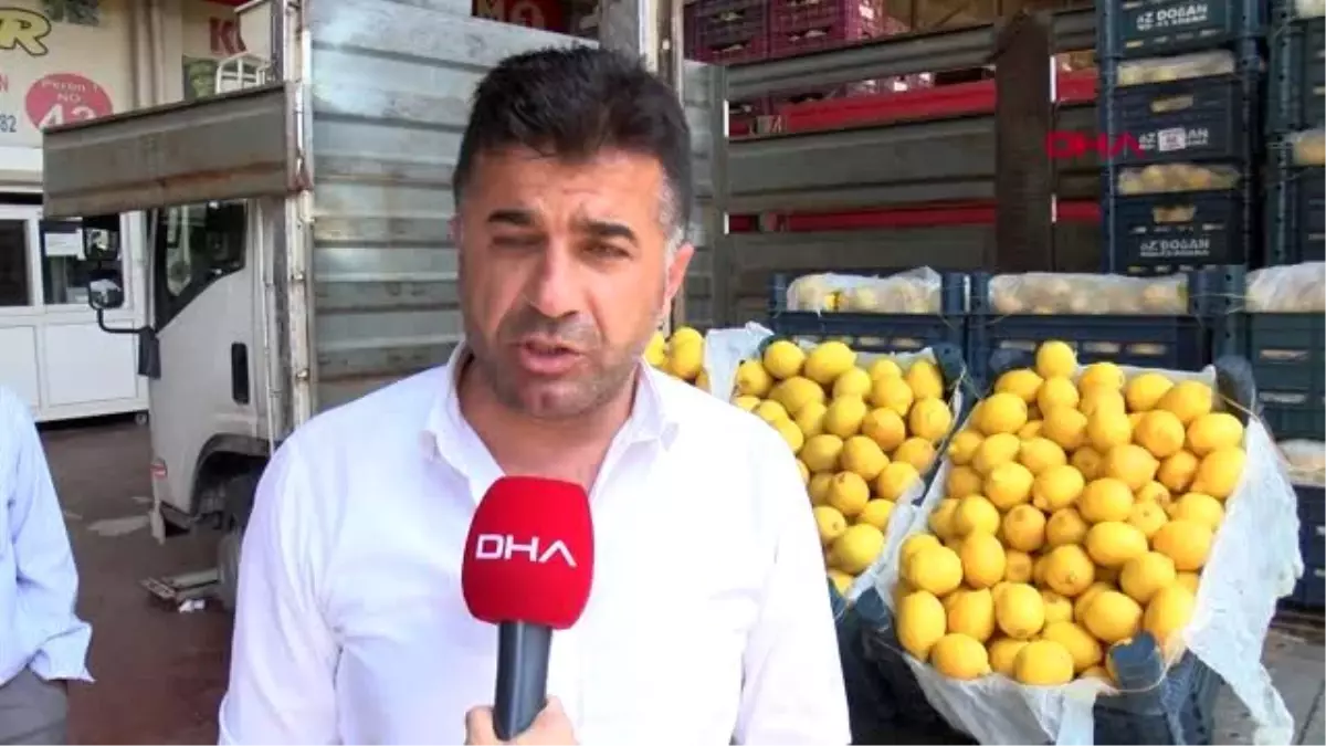 ADANA İhracat kapanınca limon halde kaldı