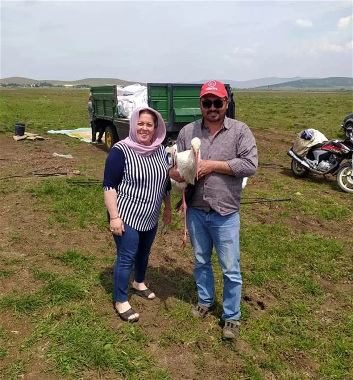 Gaziantep\'te tarlada yaralı bulunan leylek tedaviye alındı