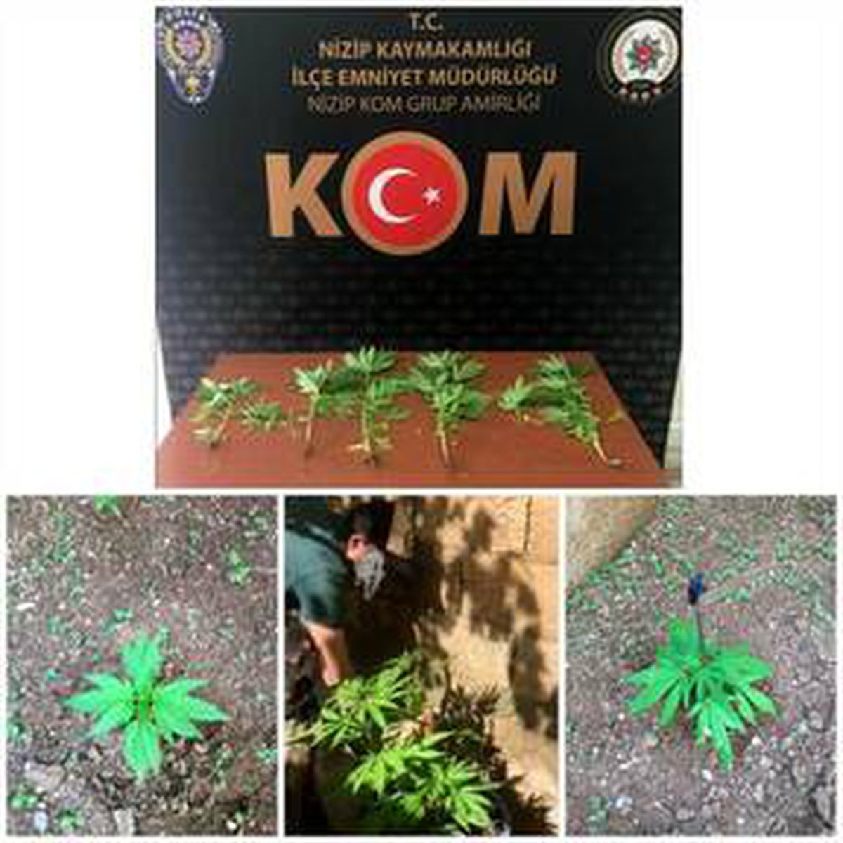 Gaziantep\'te uyuşturucu operasyonunda 14 şüpheli yakalandı