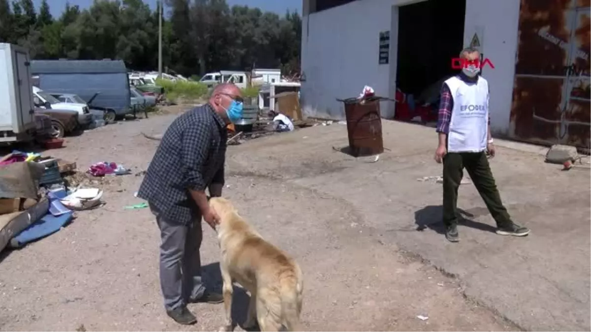 İZMİR Sahipsiz sokak hayvanları onlara emanet