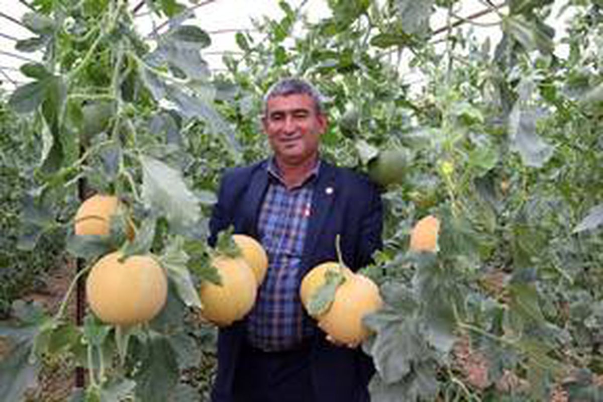 Kumluca\'da çiftçiler kavunun fiyatından memnun