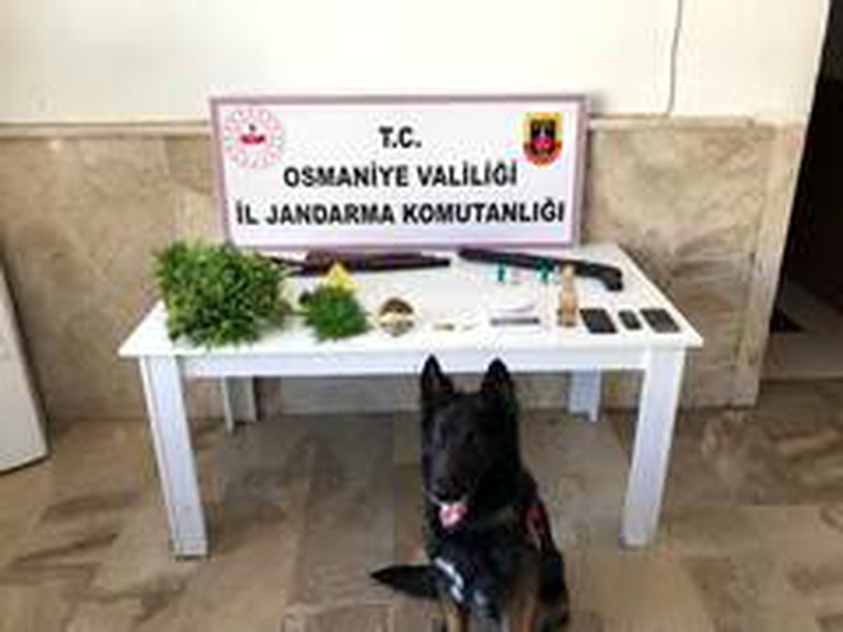 Osmaniye\'de uyuşturucu operasyonu: 3 gözaltı