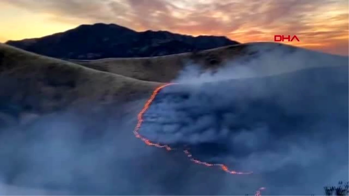 ABD\'nin Kaliforniya eyaletinde orman yangını