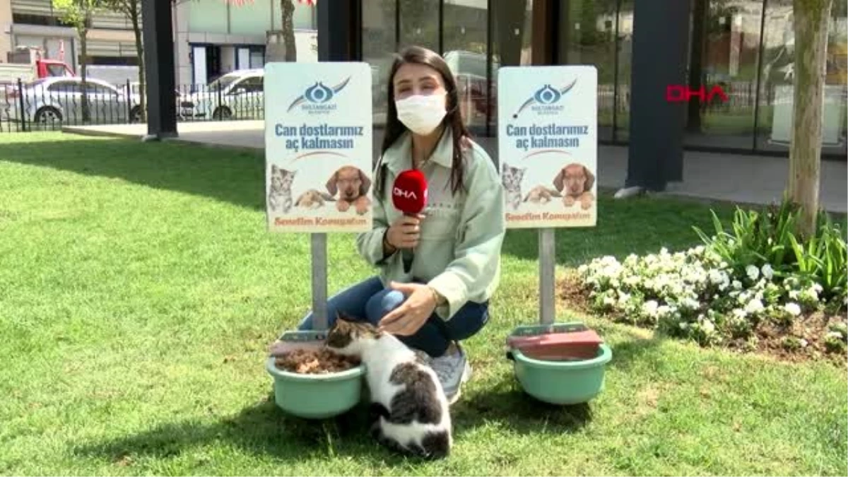 İSTANBUL Sultangazi\'de sokak hayvanlarına mama desteği