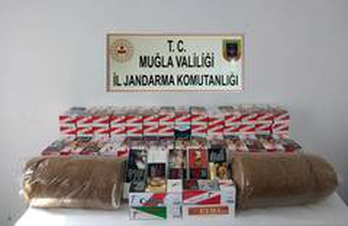 Jandarmadan kaçak sigara operasyonu