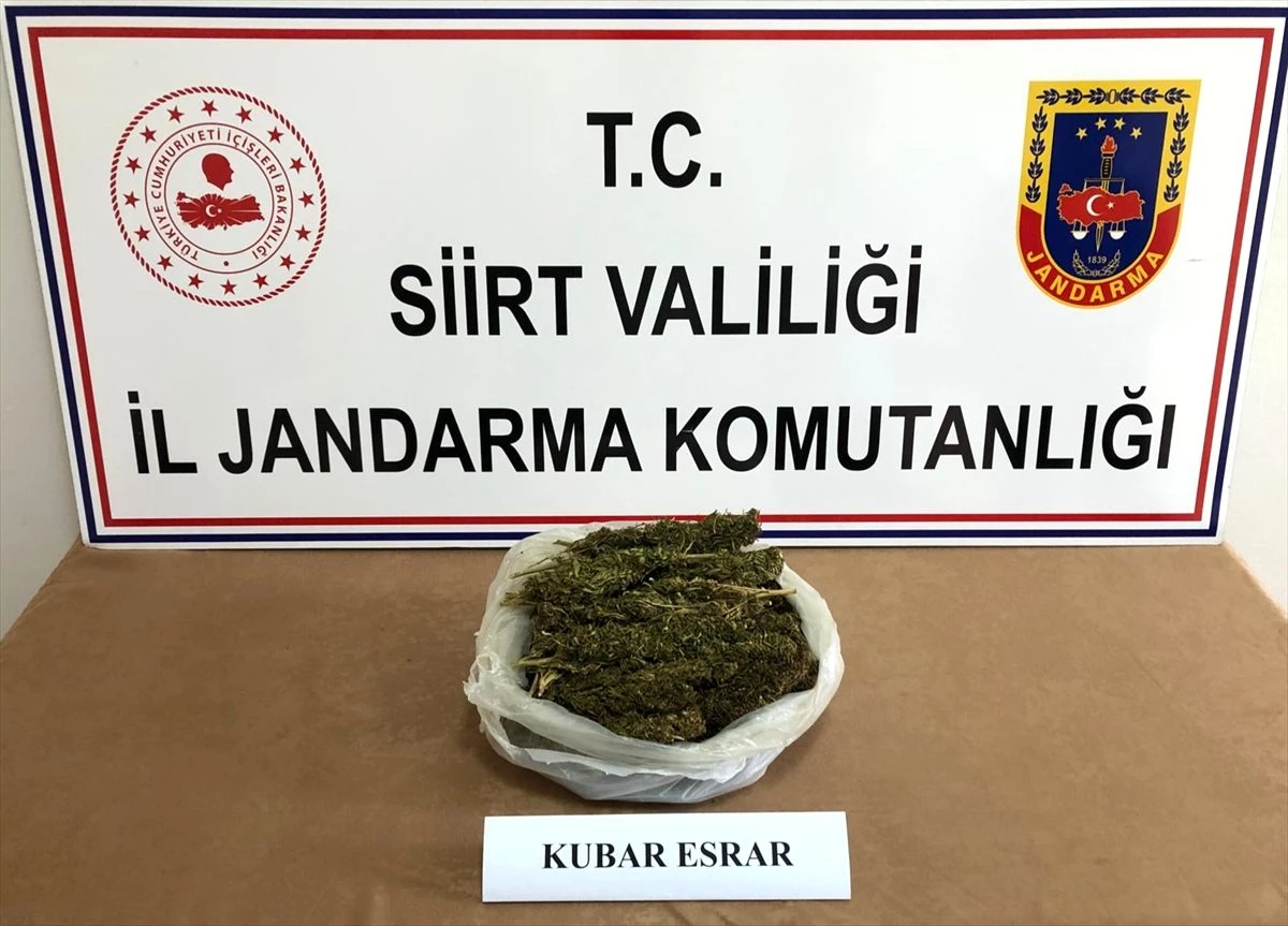 Siirt\'te 1 kilogram kubar esrar ele geçirildi