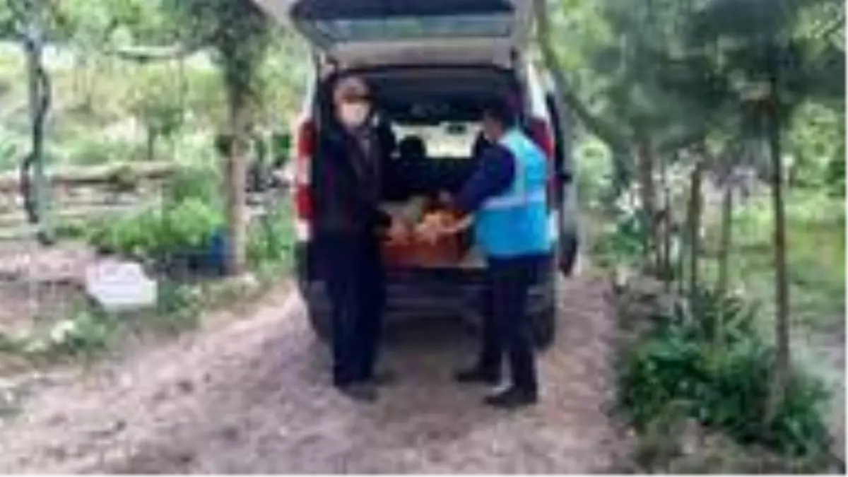 Bahçesinde yetiştirdiği elmaları kampanyaya bağışladı