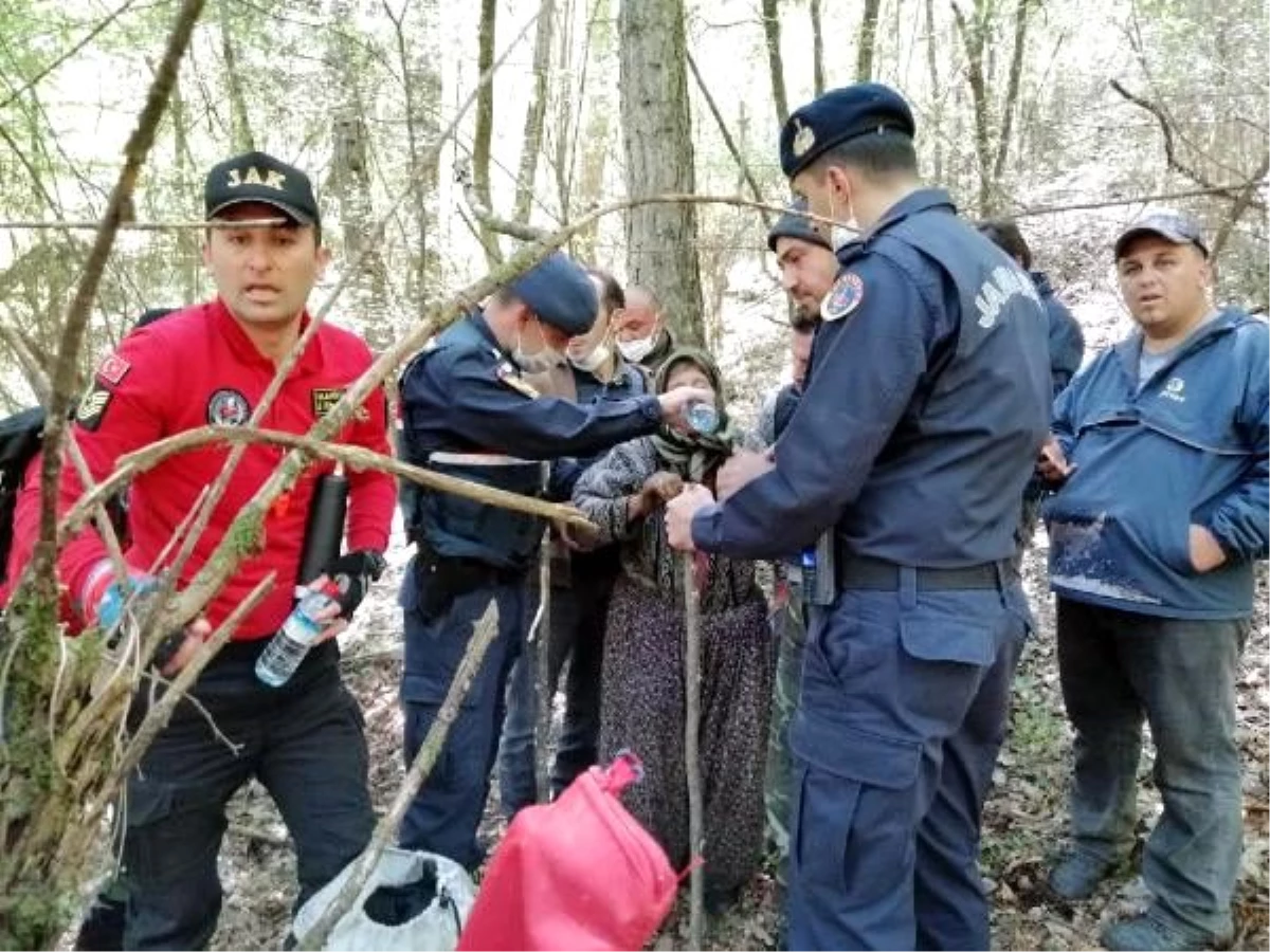 Kaybolan yaşlı kadın, 25 saat sonra ormanda bulundu