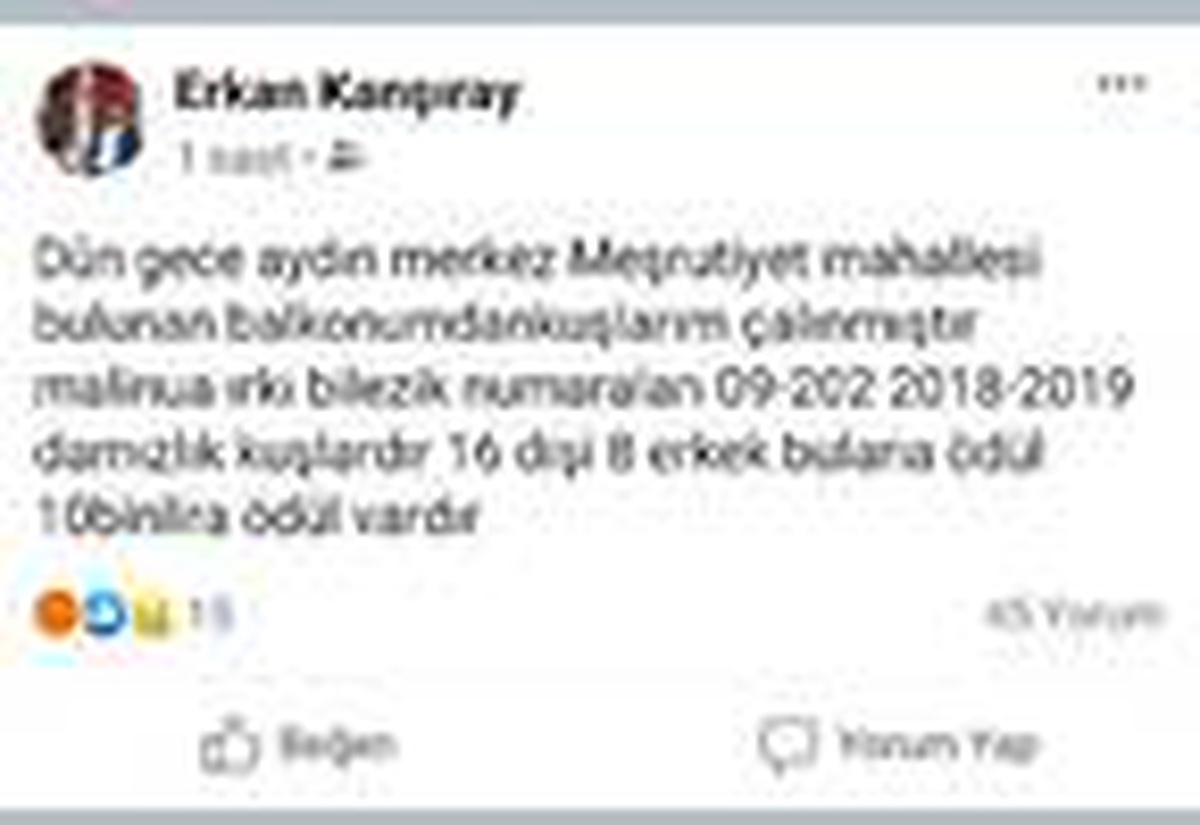 Kuşları çalınan kişi: Bulana 10 bin TL vereceğim