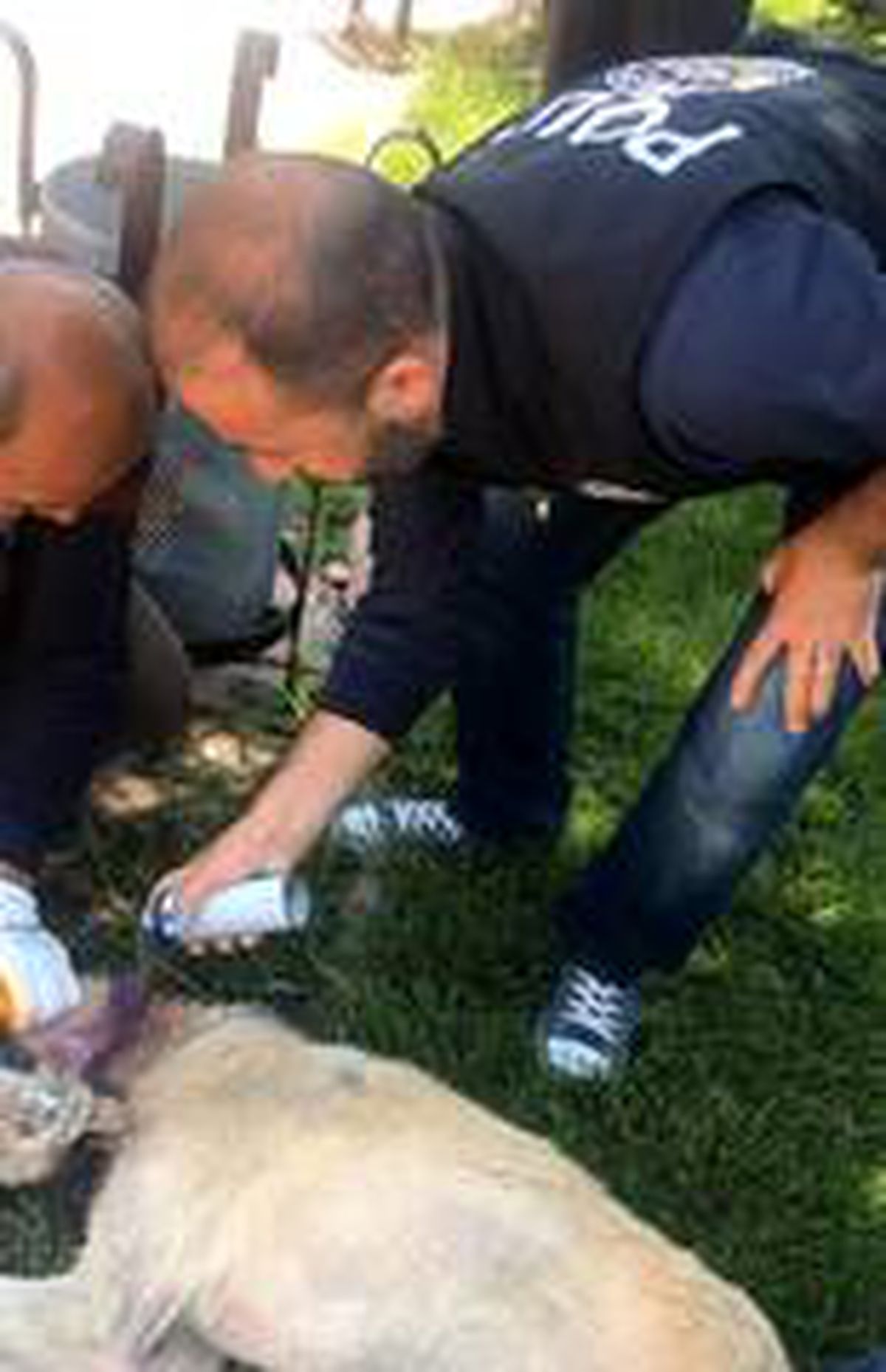Mardin\'de boynuna kablo dolanan köpeği polis kurtardı
