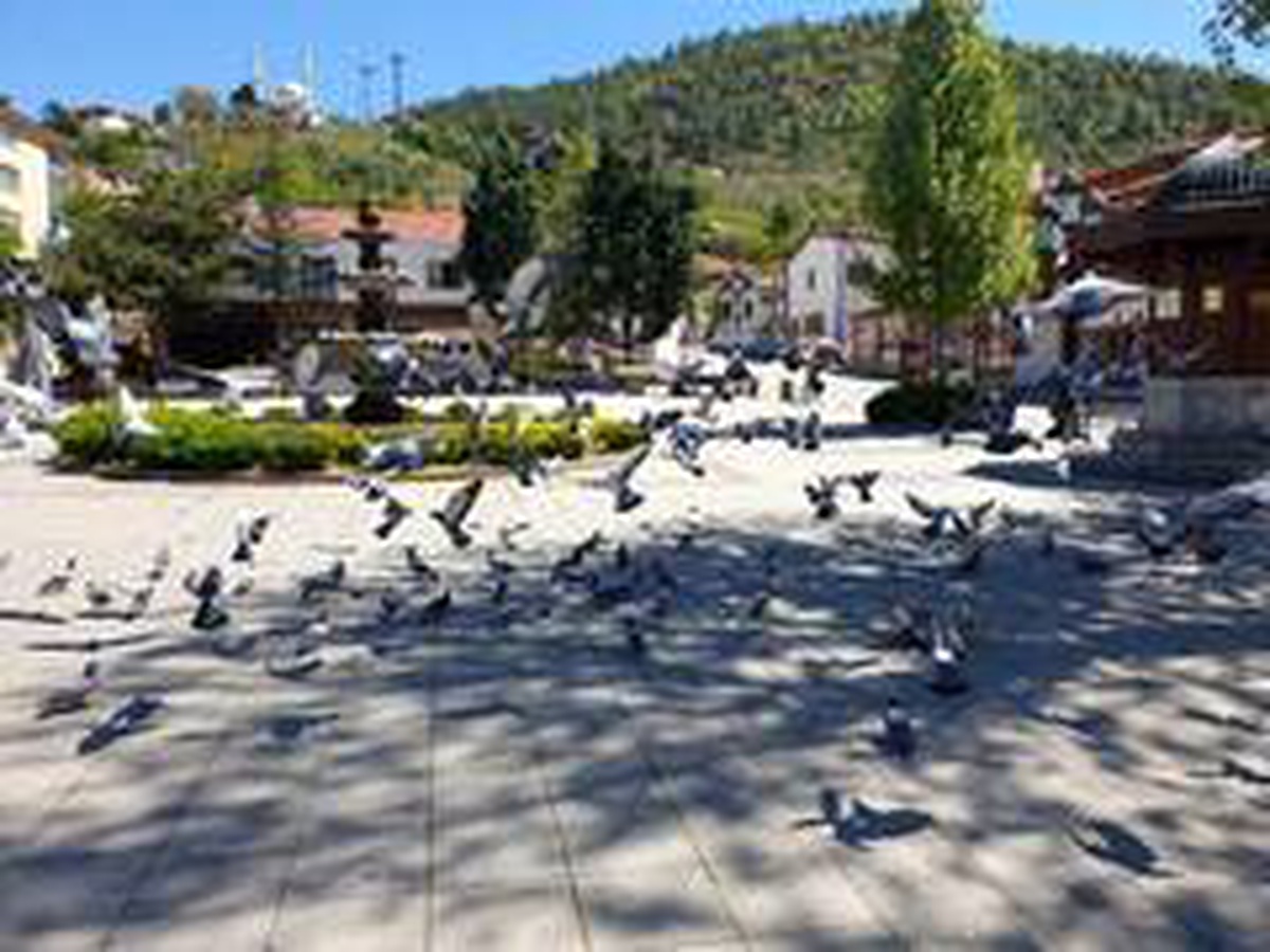 Nallıhan\'da Cumhuriyet Meydanı güvercinlere kaldı