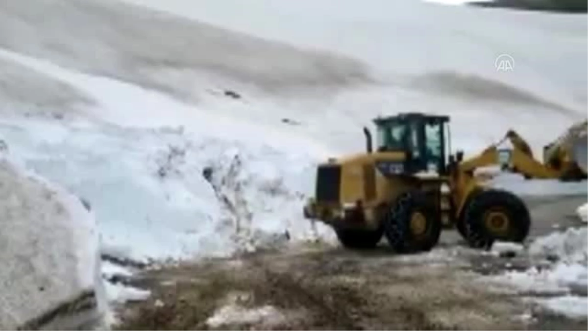 Ordu\'nun yüksek kesimleri beyaza büründü