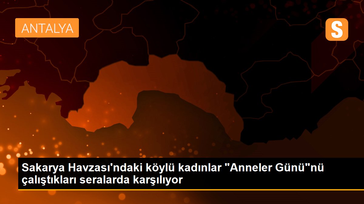 Sakarya Havzası\'ndaki köylü kadınlar "Anneler Günü"nü çalıştıkları seralarda karşılıyor