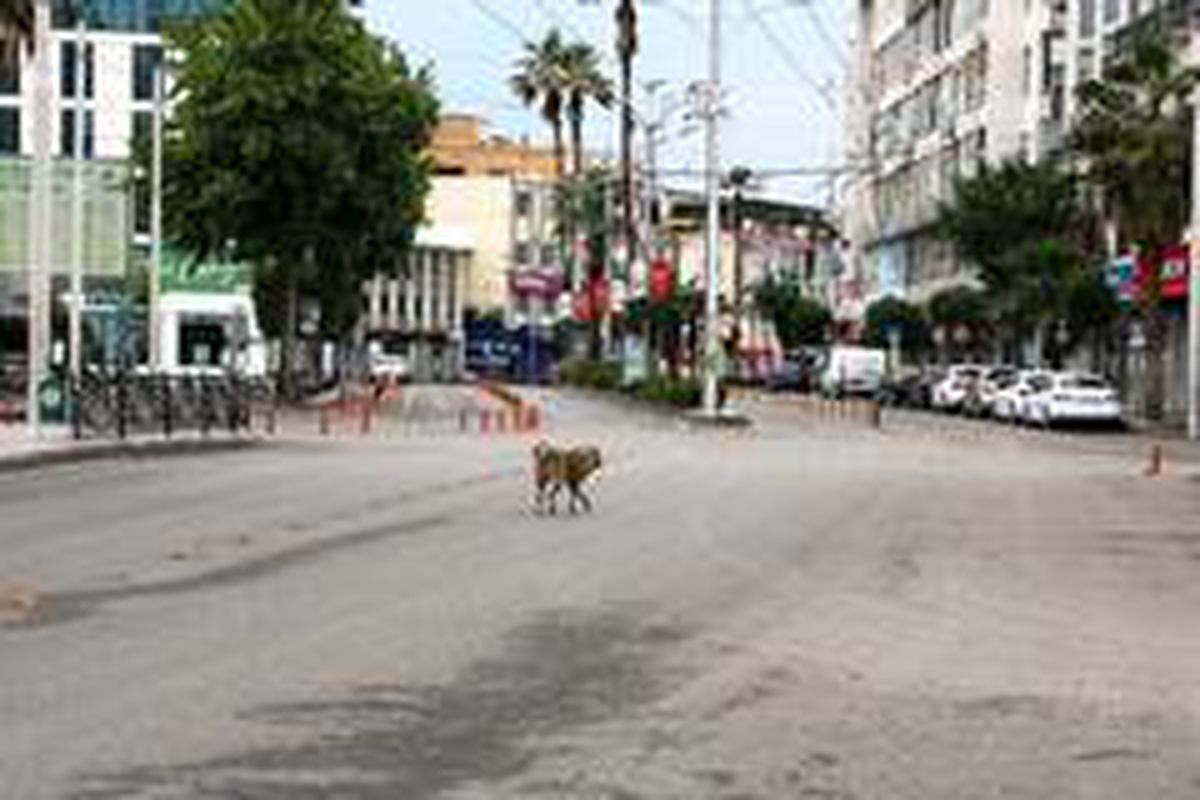 Şanlıurfa\'da cadde ve sokaklar boş kaldı