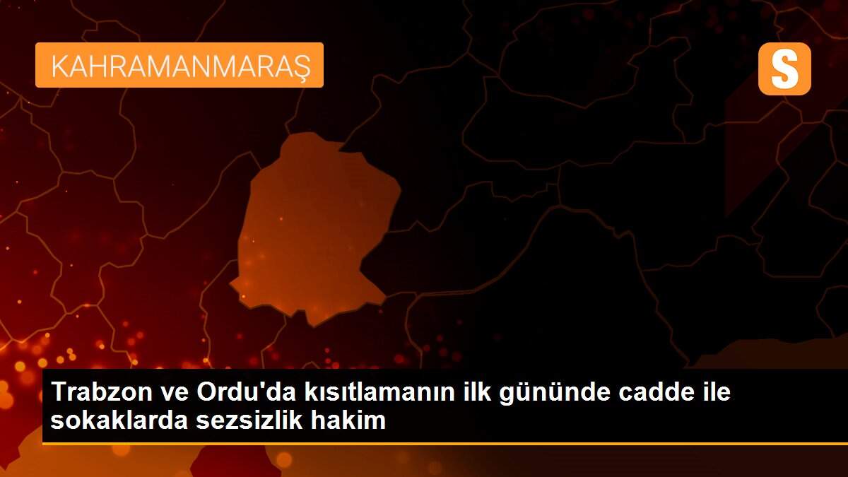 Trabzon ve Ordu\'da kısıtlamanın ilk gününde cadde ile sokaklarda sezsizlik hakim