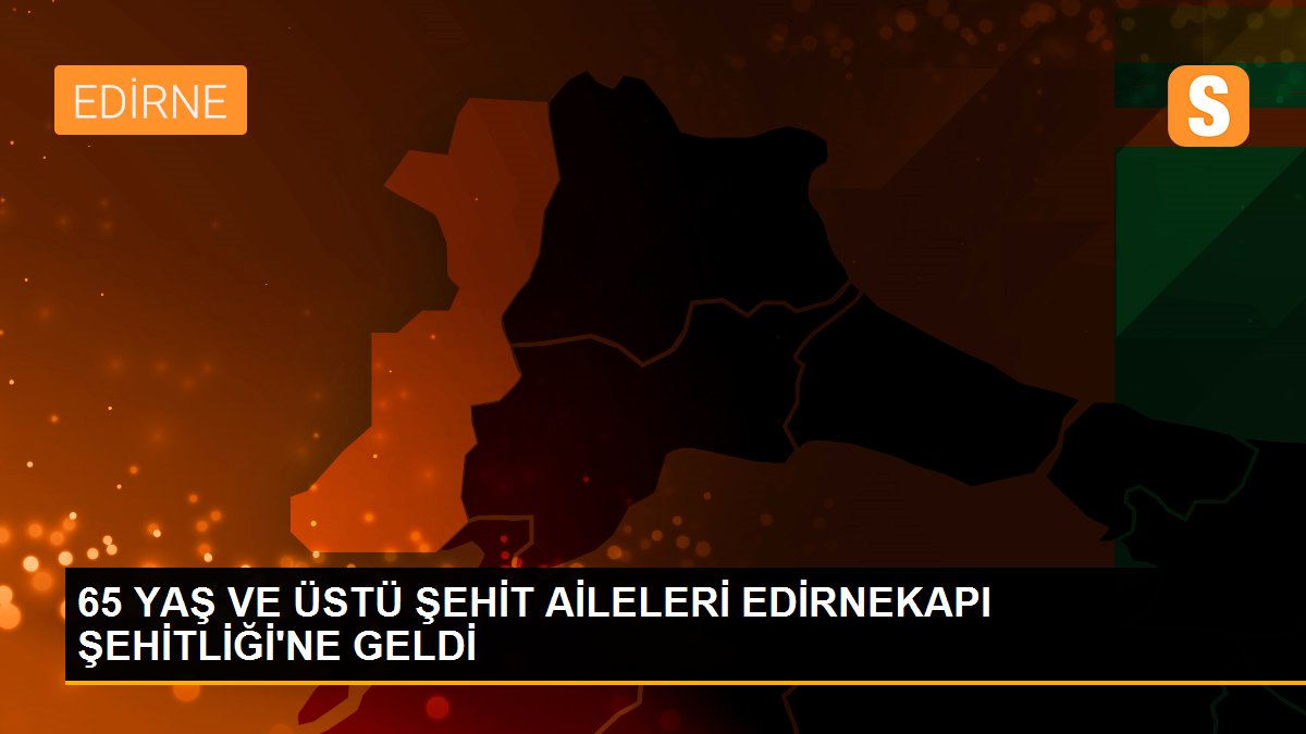 65 YAŞ VE ÜSTÜ ŞEHİT AİLELERİ EDİRNEKAPI ŞEHİTLİĞİ\'NE GELDİ