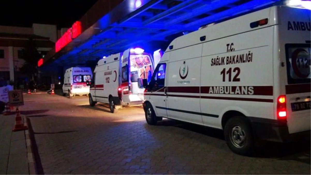 Ankara\'da 5 çocuk annesi kadın, ayı saldırısında hayatını kaybetti