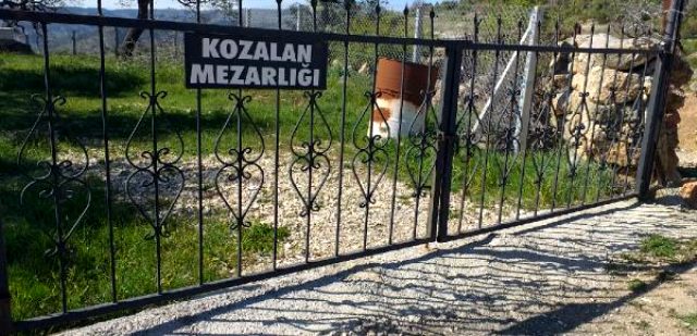 Ankara'da 5 çocuk annesi kadın, ayı saldırısında hayatını kaybetti
