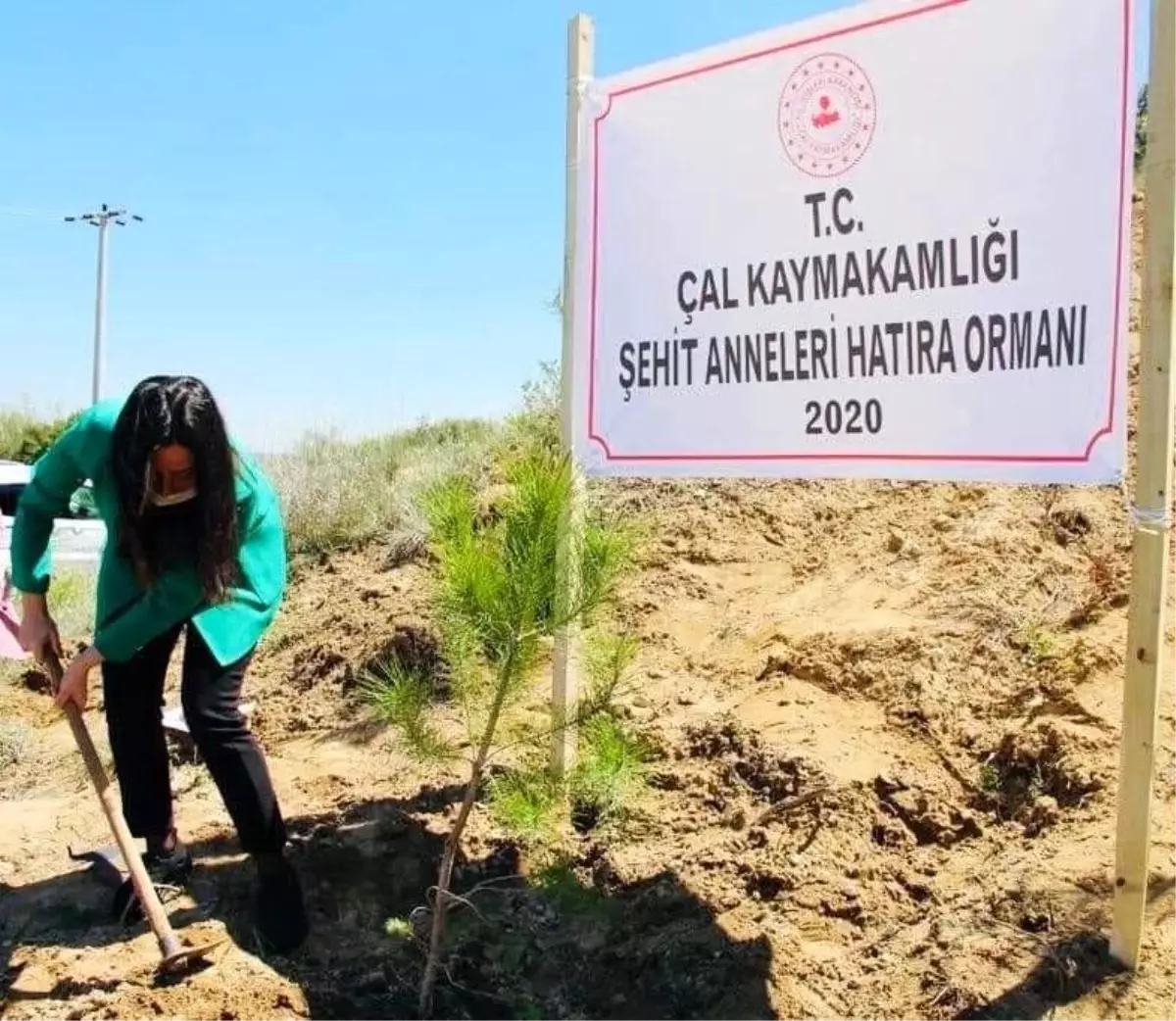 Çal\'da şehit anneleri için hatıra ormanı oluşturuldu