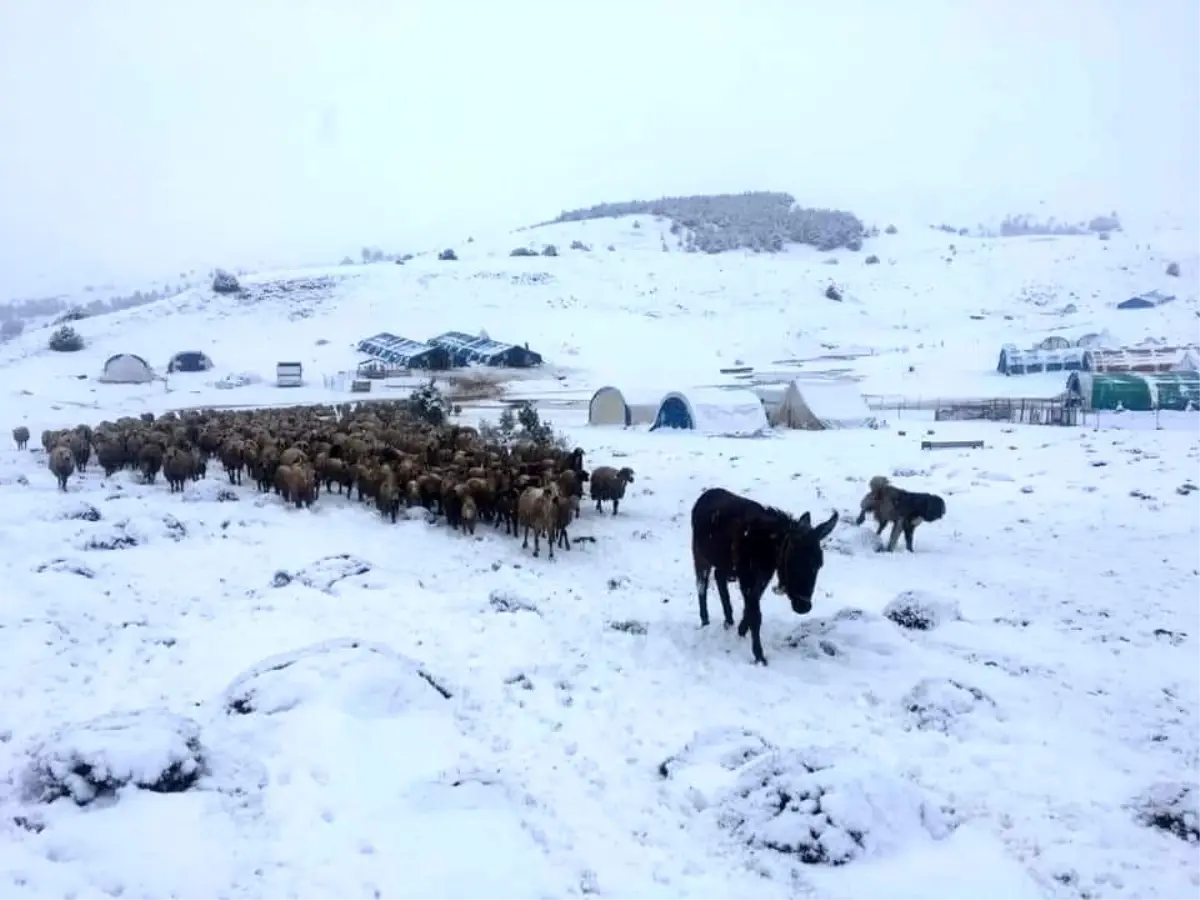 Göçerler baharda kışa yakalandı