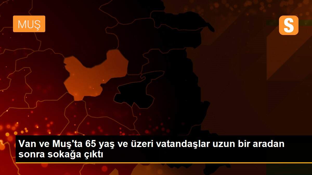 Van ve Muş\'ta 65 yaş ve üzeri vatandaşlar uzun bir aradan sonra sokağa çıktı