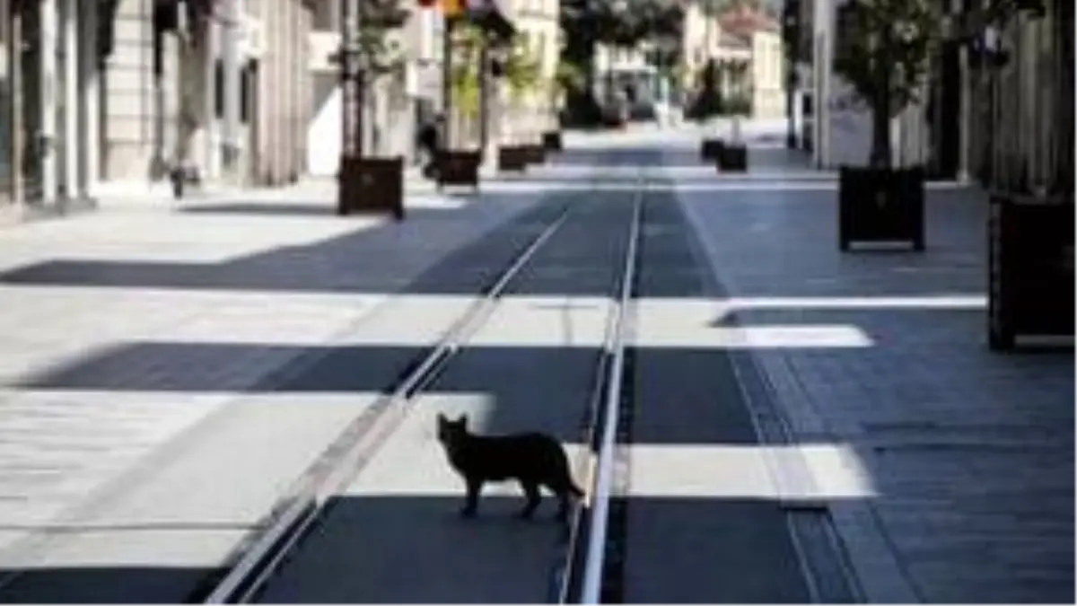 19 Mayıs\'ta Sokağa Çıkma Yasağı Olacak Mı?