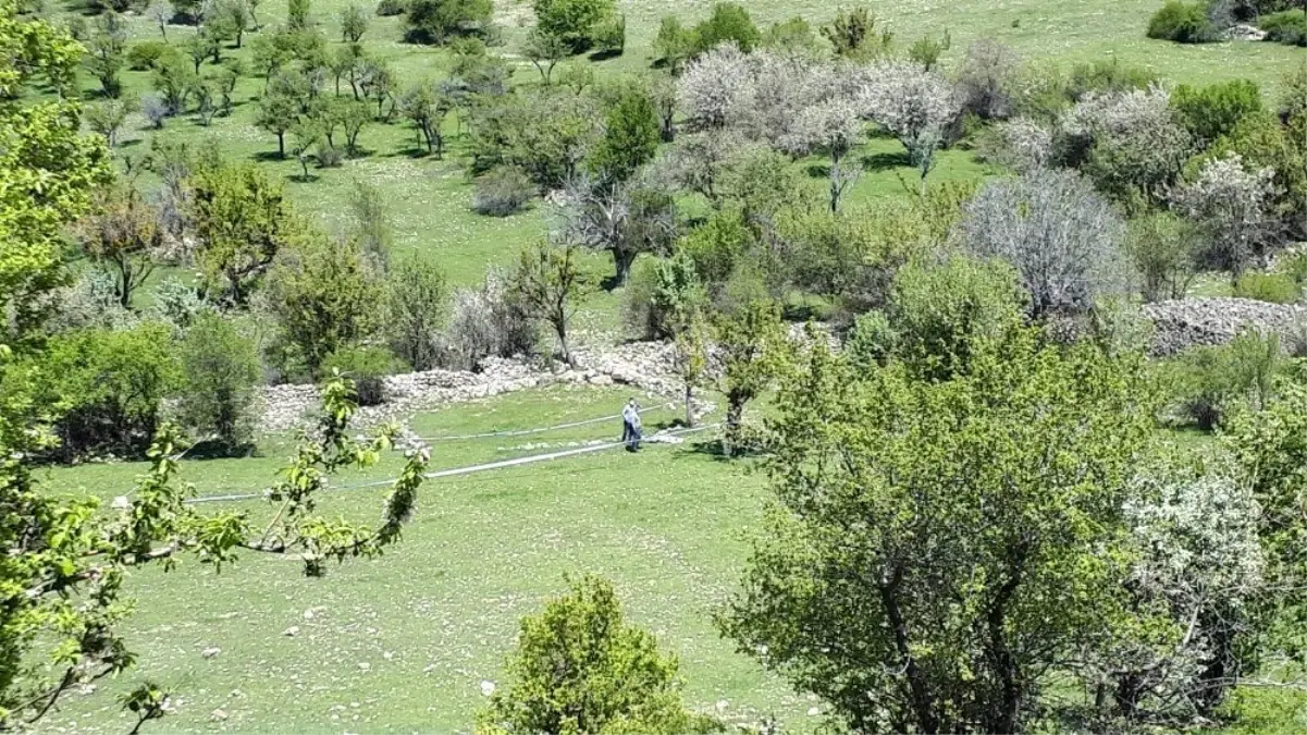 Ankara\'da \'ayı saldırısı, bir kadını öldürdü\' iddiası