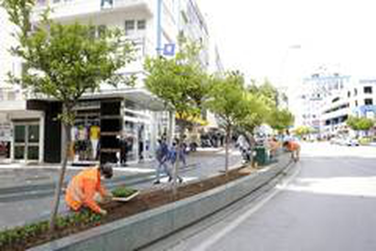 Büyükşehir Güllük Caddesi\'ni 40 bin çiçekle süsleyecek