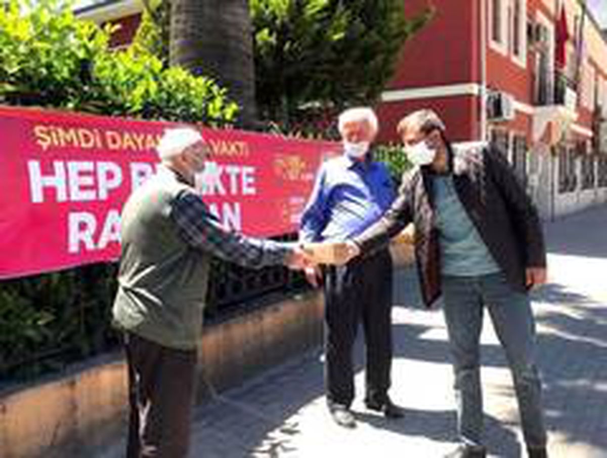 Gürsu sokakları çınarların mutluluğuyla ısındı
