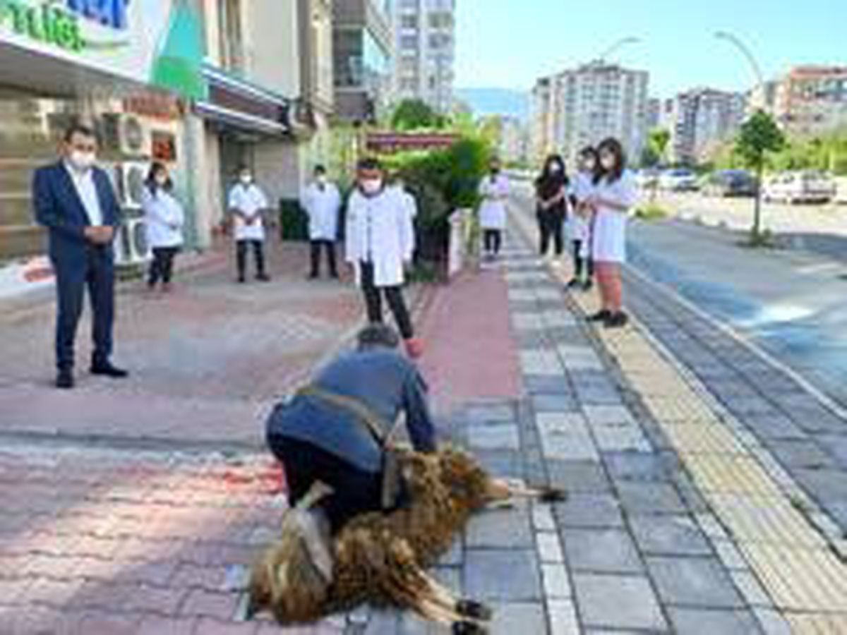 Malatyalı kuaförler işbaşı yaptı