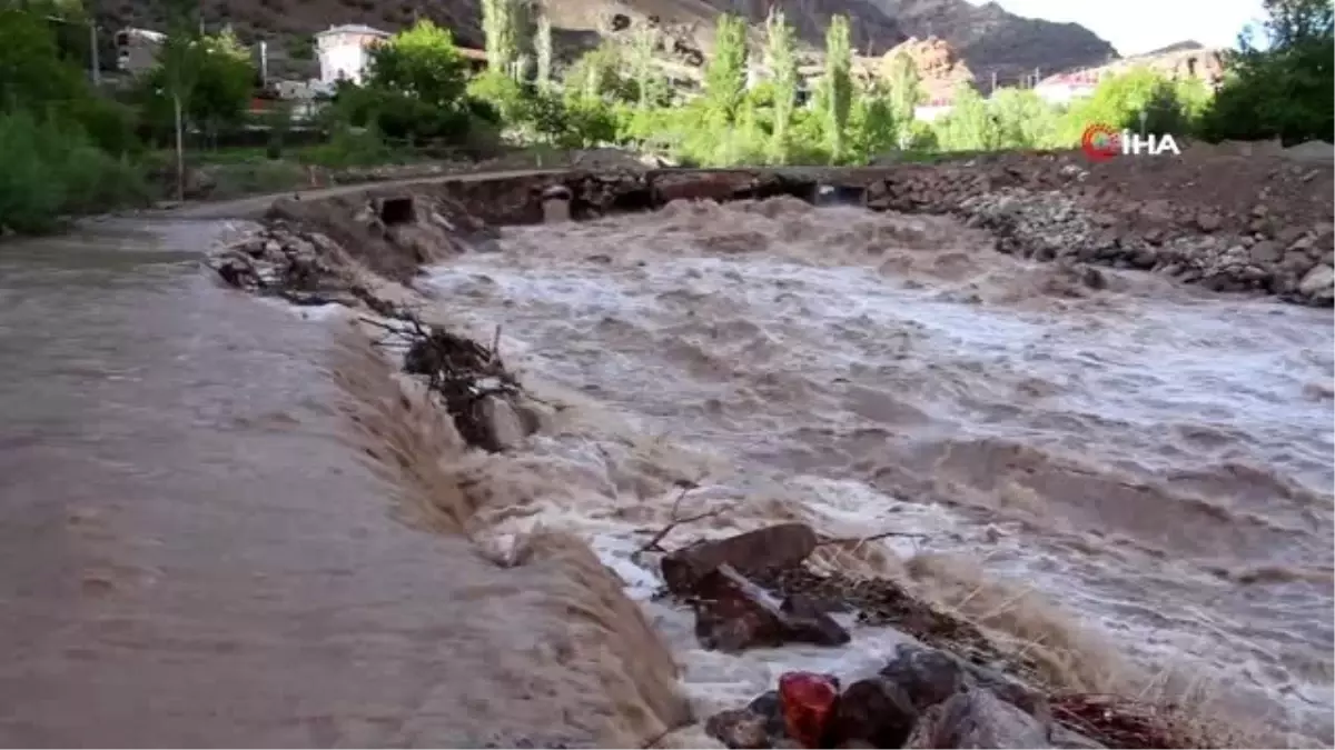 Oltu Çayı coştu seralara taştı