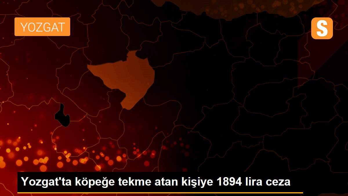 Yozgat\'ta köpeğe tekme atan kişiye 1894 lira ceza