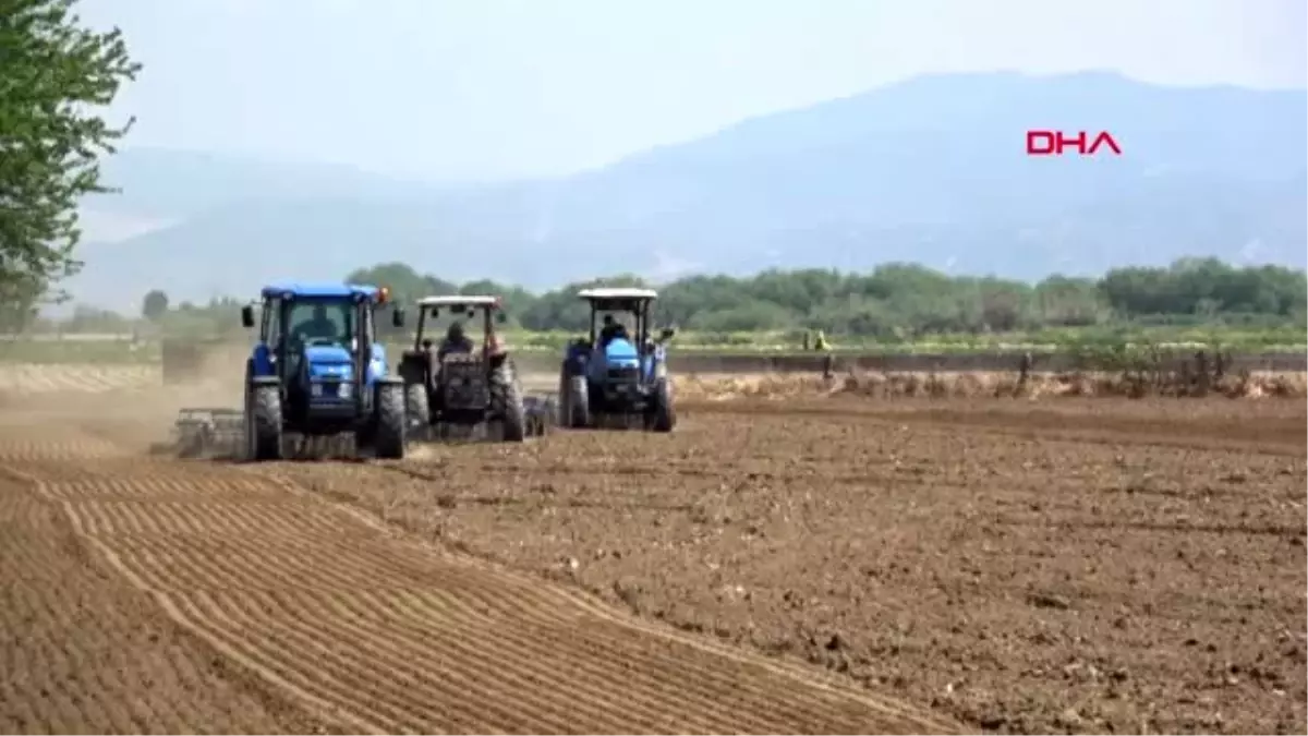 AYDIN Çiftçi üretime devam etti, traktör satışları arttı