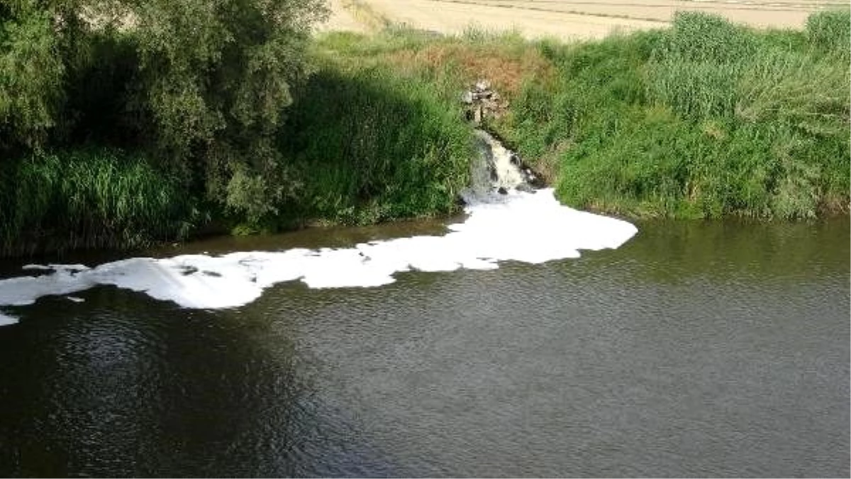 Büyük Menderes Nehri\'nde endişe veren kirlilik