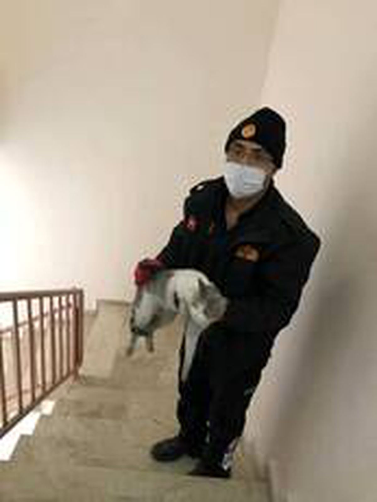 İtfaiyeden kedi kurtarma operasyonu