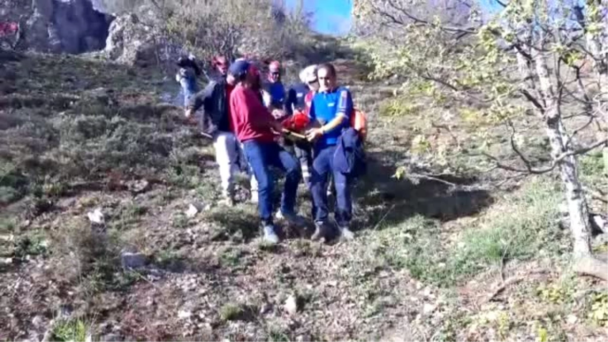 Mantar toplarken kayalıklardan düşen yaşlı kişi kurtarıldı