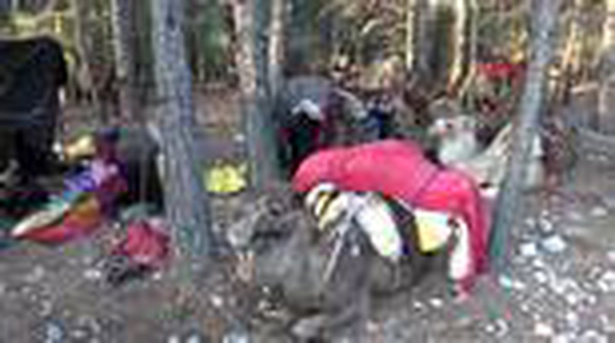 MERSİN Yörüklerin 20 gün sürecek yaz göçü başladı